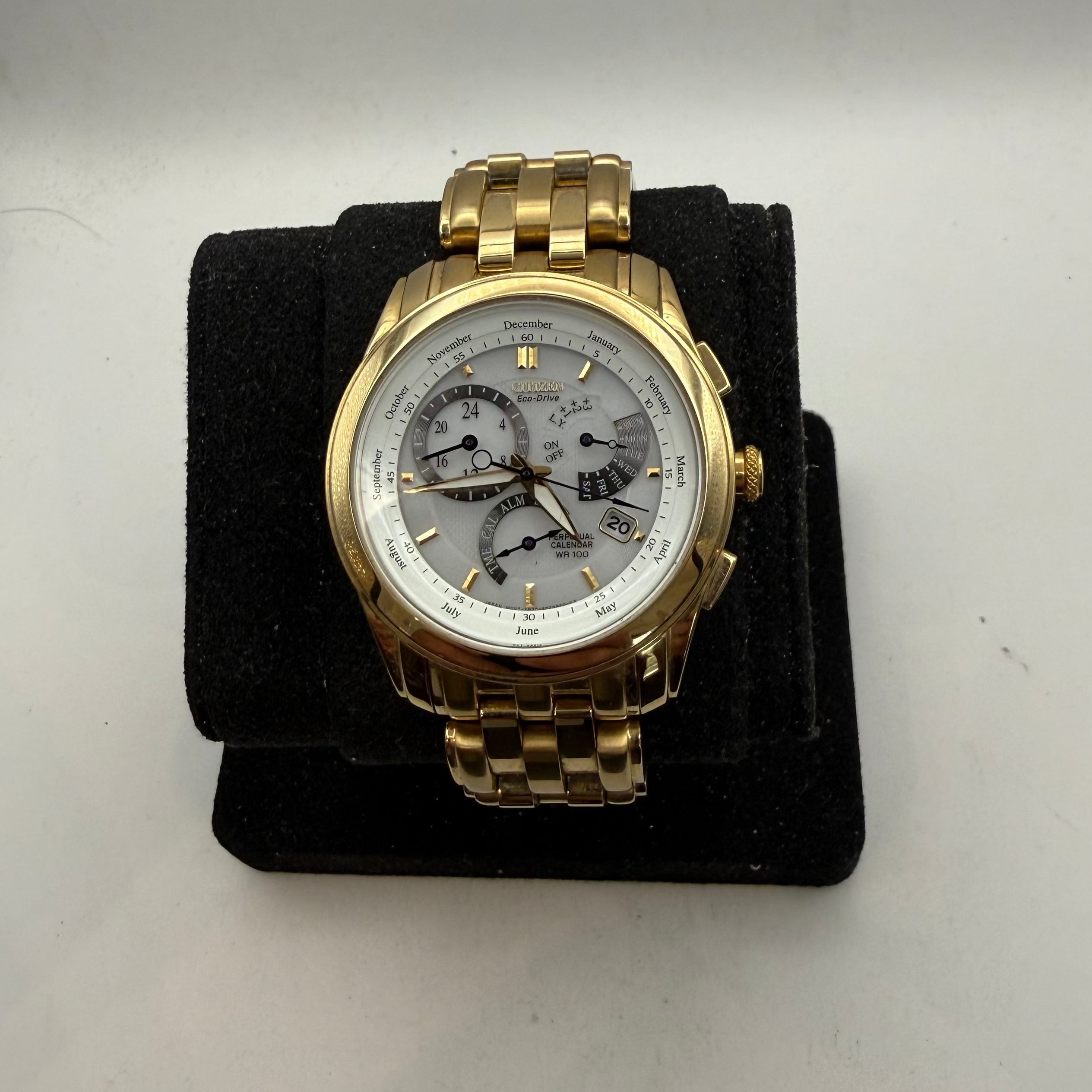 Citizen Eco-Drive Perpetual Calendar Gold Tone Men's Watch E870 (Fully Tested and Working)- £150.00