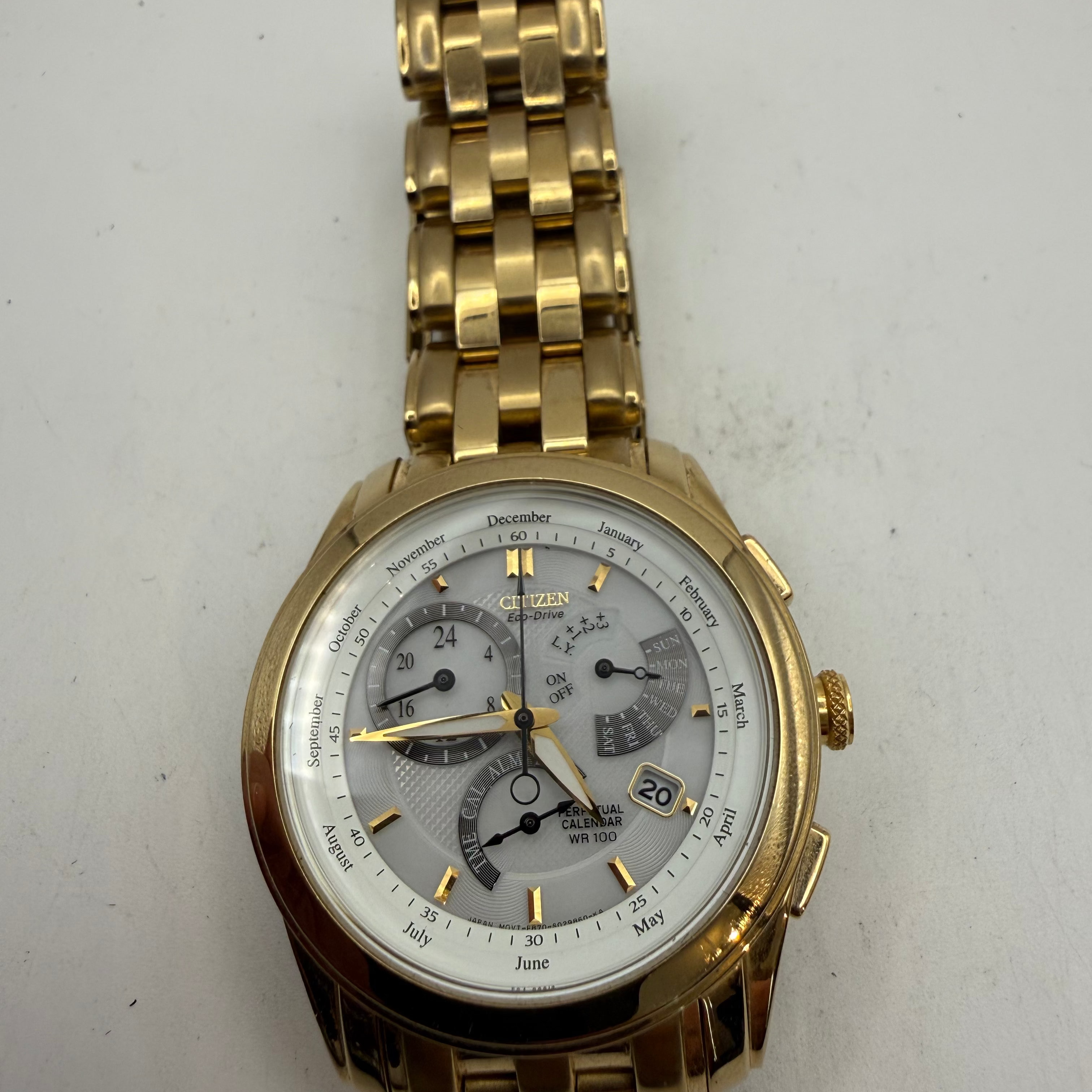 Citizen Eco-Drive Perpetual Calendar Gold Tone Men's Watch E870 (Fully Tested and Working)- £150.00
