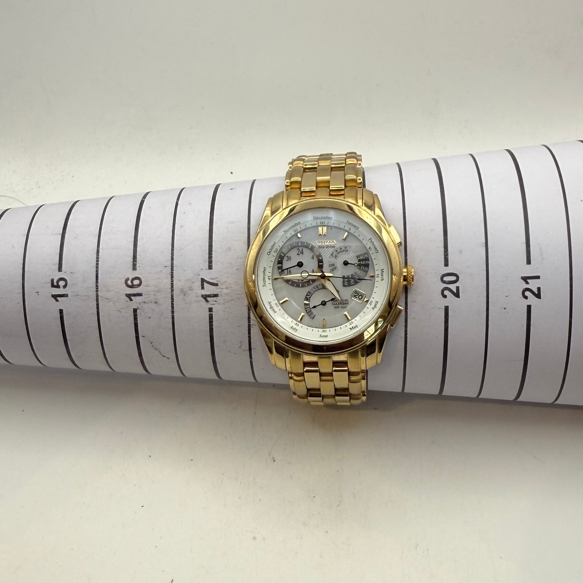 Citizen Eco-Drive Perpetual Calendar Gold Tone Men's Watch E870 (Fully Tested and Working)- £150.00