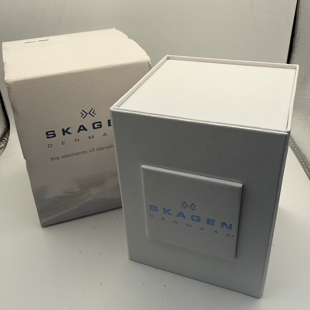 Skagen Denmark Titanium SKW6007 Men's Day-Date Watch – Full Set Boxed- £89.95