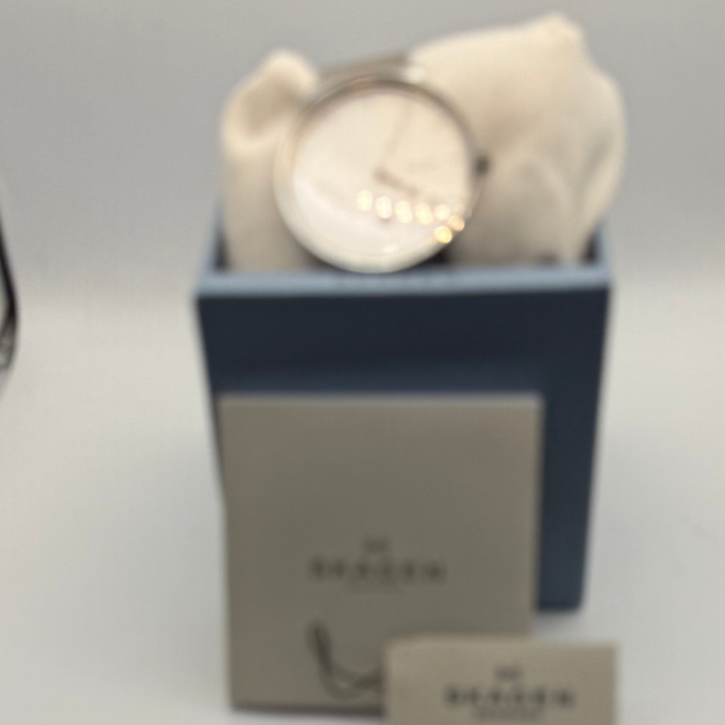 Skagen SKW6290 Minimalist Mesh Bracelet Watch- £70.00